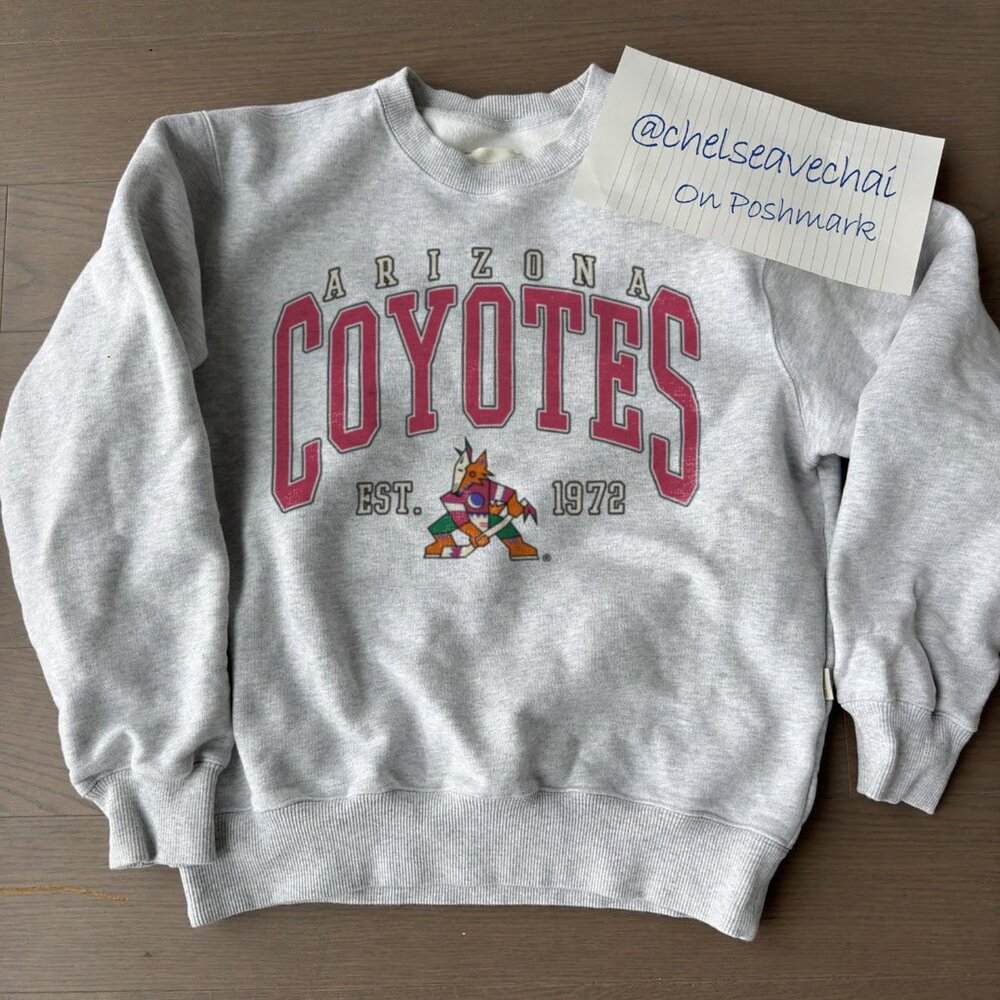 Vintage Arizona Coyotes Hockey Sweatshirt, 90s NHL Arizona Coyotes Shirt Tee